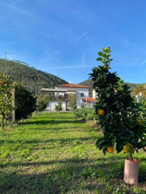 La tenuta di Eva